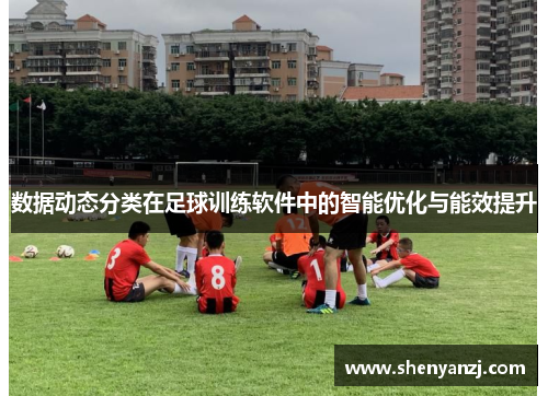 数据动态分类在足球训练软件中的智能优化与能效提升